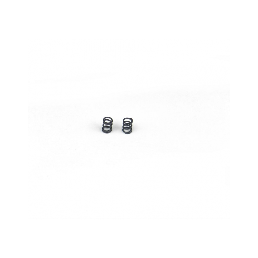 PA0077 BMT 984 2-Speed Cam Spring (2pcs)
